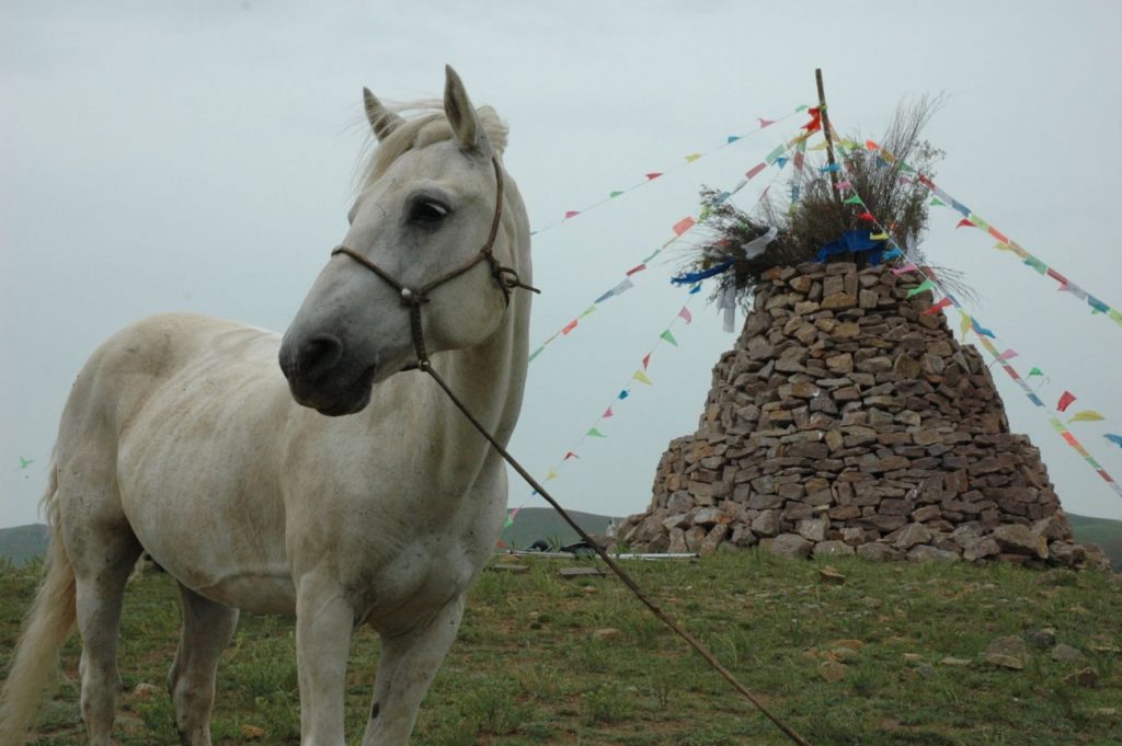 Benim Kutsal Atım / My Avatar Horse